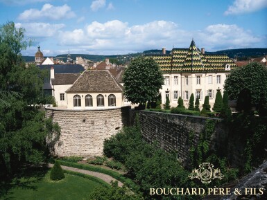 View full screen - View 1 of Lot 9085. La Romanée 2002 Bouchard Père et Fils (2 BT).