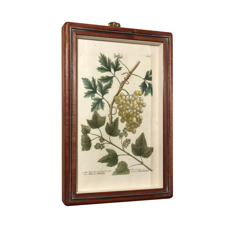 Cover image 0