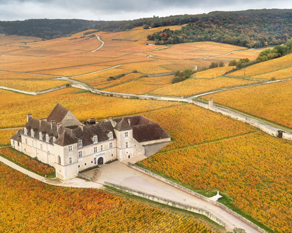 View full screen - View 1 of Lot 206. Grands Echézeaux 2002 Joseph Drouhin (7 BT).