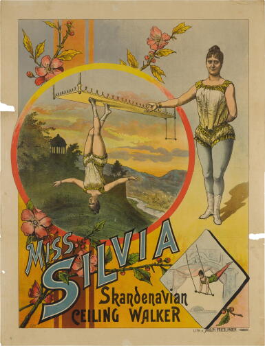 View full screen - View 1 of Lot 557. Miss Silvia | The Antipodean or Reversed Pedestrianism.