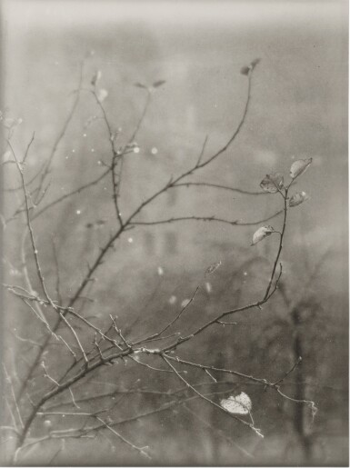View full screen - View 1 of Lot 156. Spring Blossom #5.