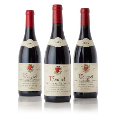 View full screen - View 1 of Lot 5716. Vougeot, Les Petits Vougeots 2015 & 2016 Alain Hudelot-Noëllat (17 BT).