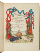Knorr, Georg Wolfgang | Nearly one thousand shells depicted on 190 plates