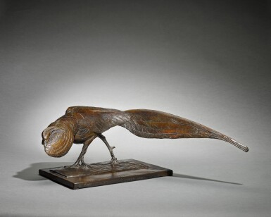 View full screen - View 1 of Lot 14. Golden Pheasant.