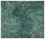 Infinity Dots, TWXZP