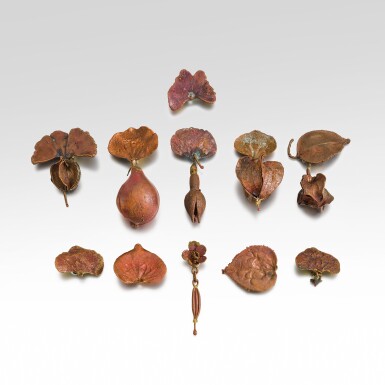 View full screen - View 1 of Lot 307. Set of Eleven Unique Earrings.