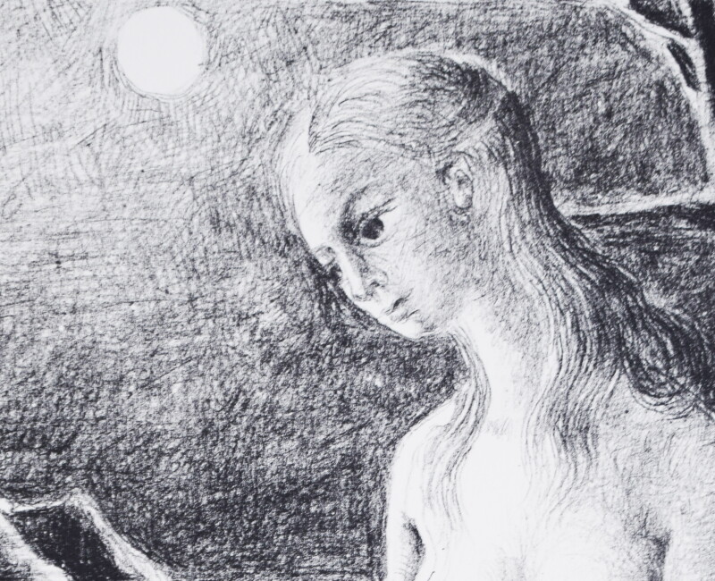 Cover image 0