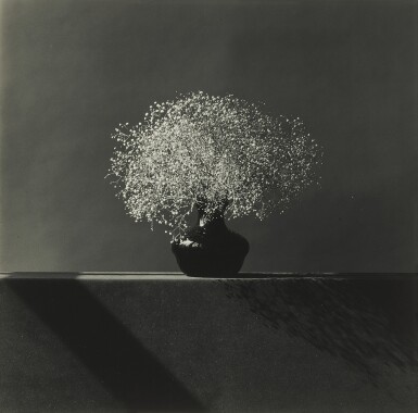 View full screen - View 1 of Lot 40. Baby's Breath.