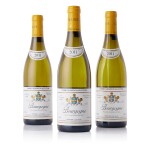 Bourgogne Blanc 2011 Domaine Leflaive (10 BT)