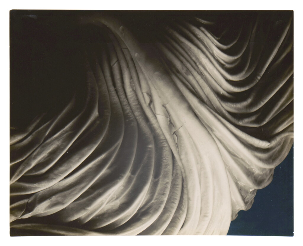 View full screen - View 1 of Lot 173. 'Cabbage Leaf'.