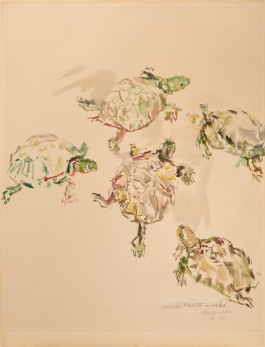 View full screen - View 1 of Lot 145. Schildkröten (Turtles).