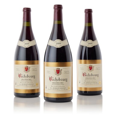 View full screen - View 1 of Lot 9091. Richebourg 2009 Domaine Hudelot-Noëllat (3 MAG).