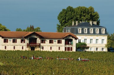 View full screen - View 1 of Lot 144. Château Pontet Canet 2012 (3 MAG).