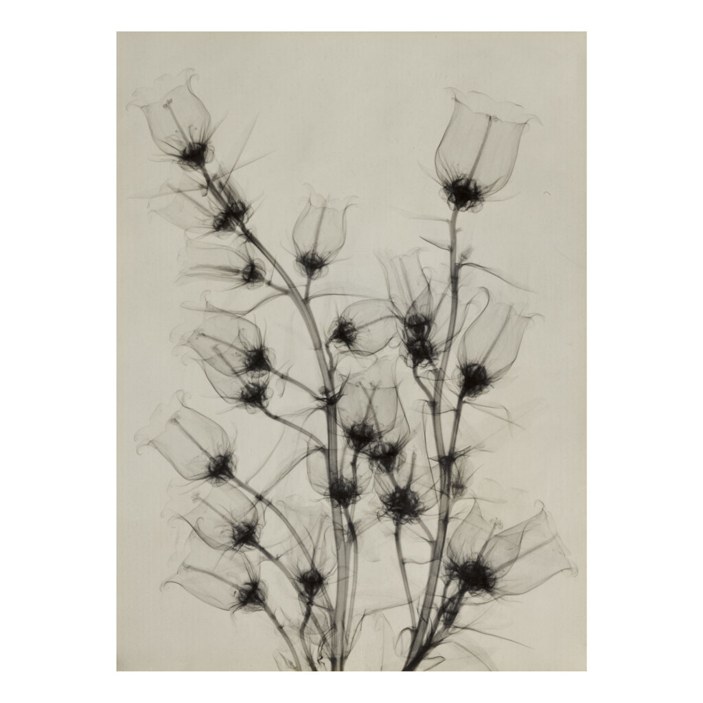 View full screen - View 1 of Lot 55. DR. DAIN L. TASKER | SELECTED IMAGES.