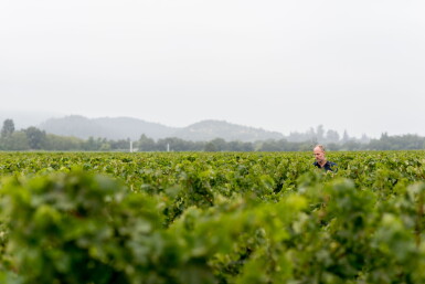 View full screen - View 1 of Lot 5. Schrader Cellars | 1-2-3 Knockout: Double Magnum Wine Trio from One Spectacular Vintage.