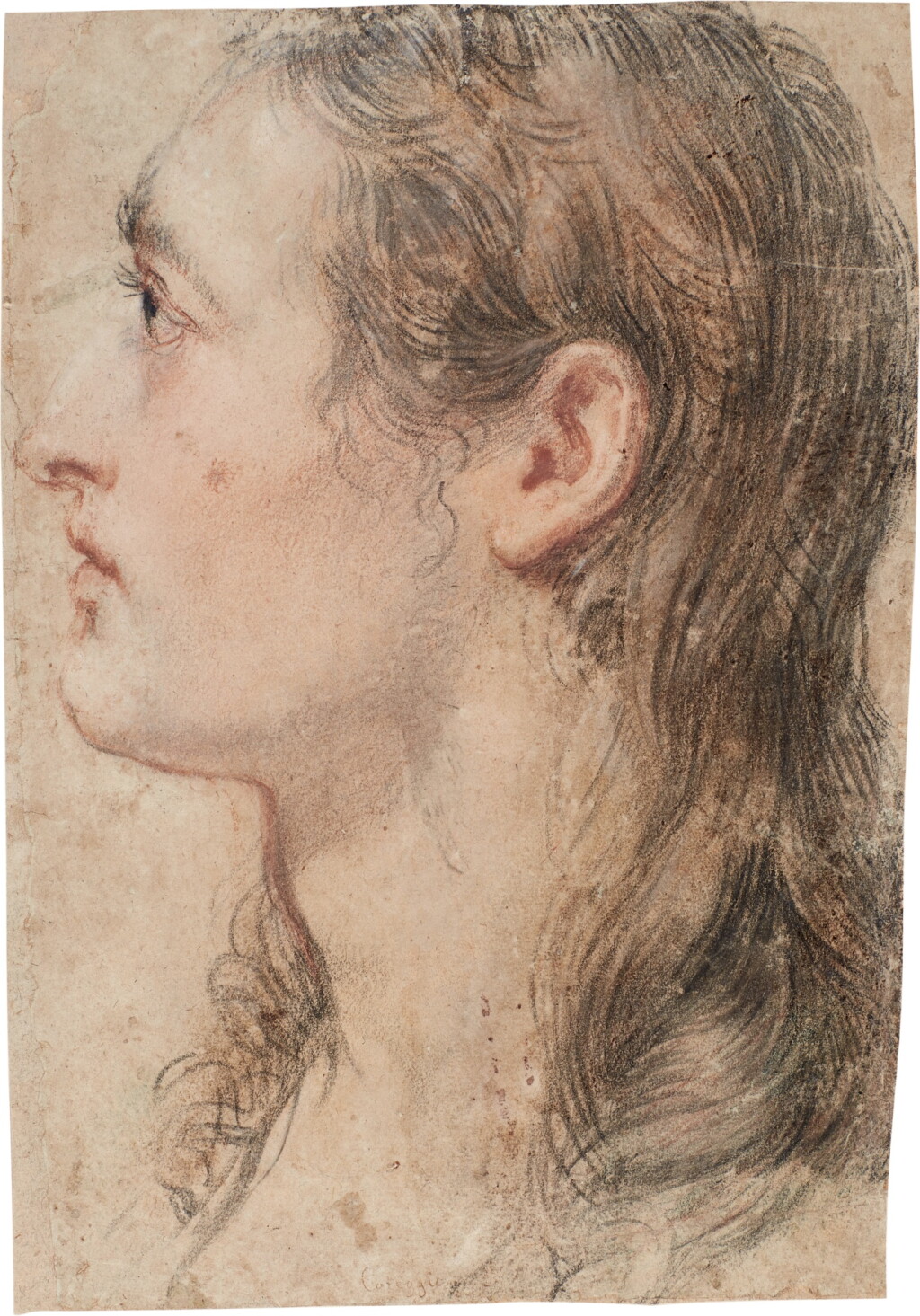 View full screen - View 1 of Lot 140. Head of a young man seen in profile.