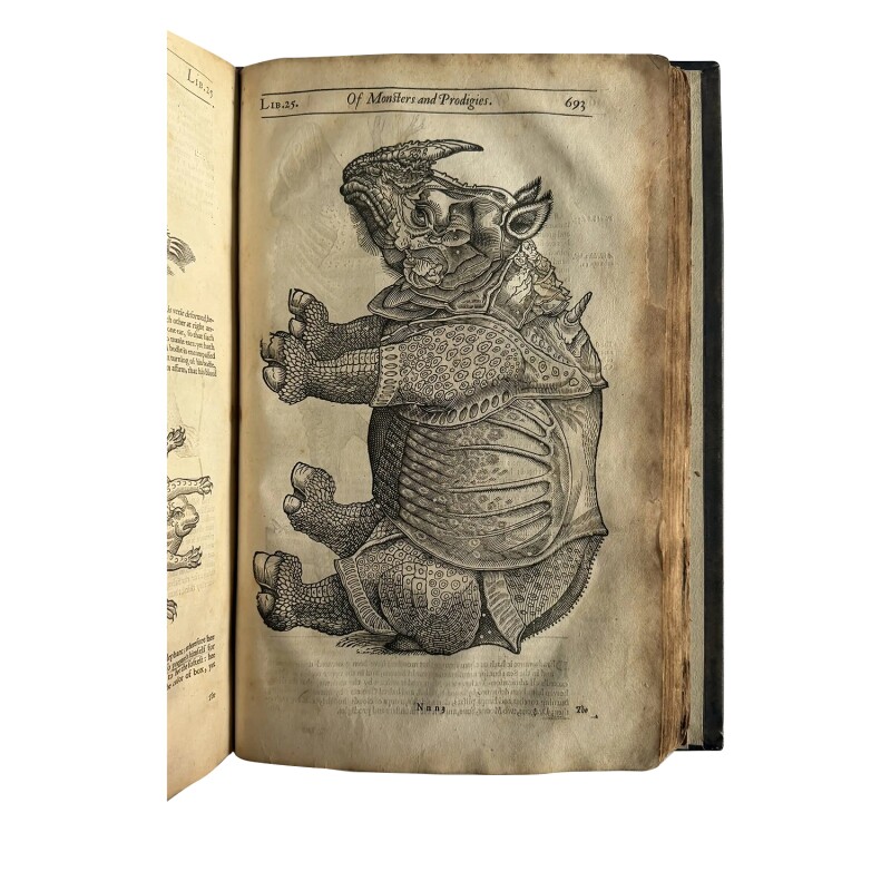 Cover image 0
