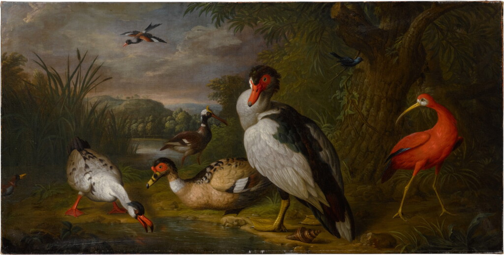 View full screen - View 1 of Lot 358. A muscovy duck, a red ibis and other fowl in a landscape.