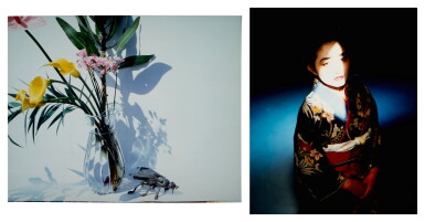 View full screen - View 1 of Lot 113. Untitled (2 photographs).