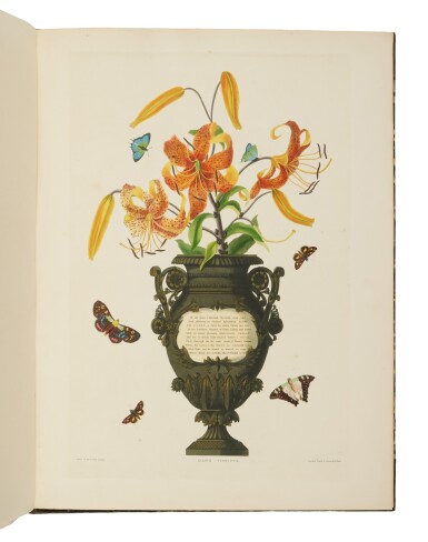 View full screen - View 1 of Lot 9. Bury, Priscilla Susan (Falkner) | A splendid and rare botanical work by a woman artist, with distinguished provenance.