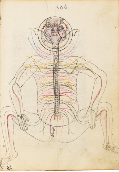 View full screen - View 1 of Lot 118. ABU AL-MAJID AL-TABIB AL-BAYDAWI, KITAB TASHRIH, COPIED BY ABU AL-QASIM AL-HASANI, PERSIA, QAJAR, DATED 1233 AH/1818 AD.