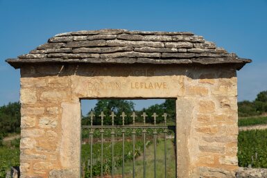 View full screen - View 1 of Lot 373. Chevalier Montrachet 2015 Domaine Leflaive (6 BT).