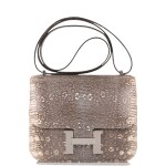 Hermès Ombre Constance 18cm of Varanus Salvator Lizard with Palladium Hardware