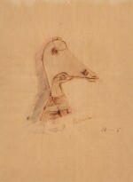 Costume Design for a Bird's Head
