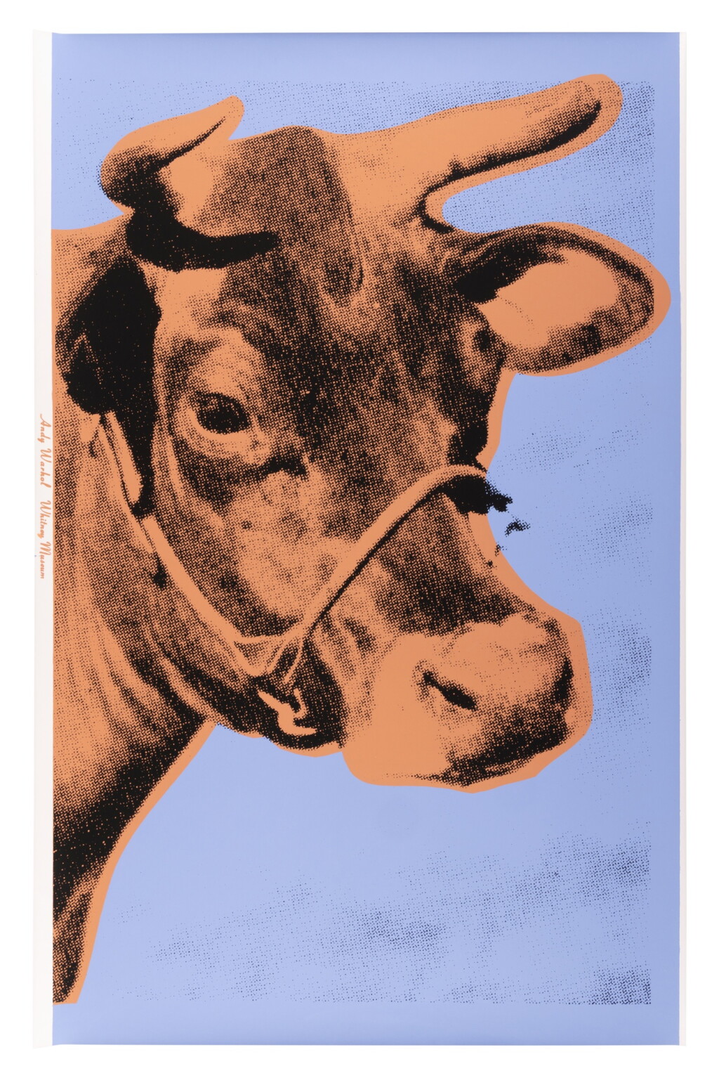 View full screen - View 1 of Lot 861. Cow (Feldman & Schellmann II.11A).