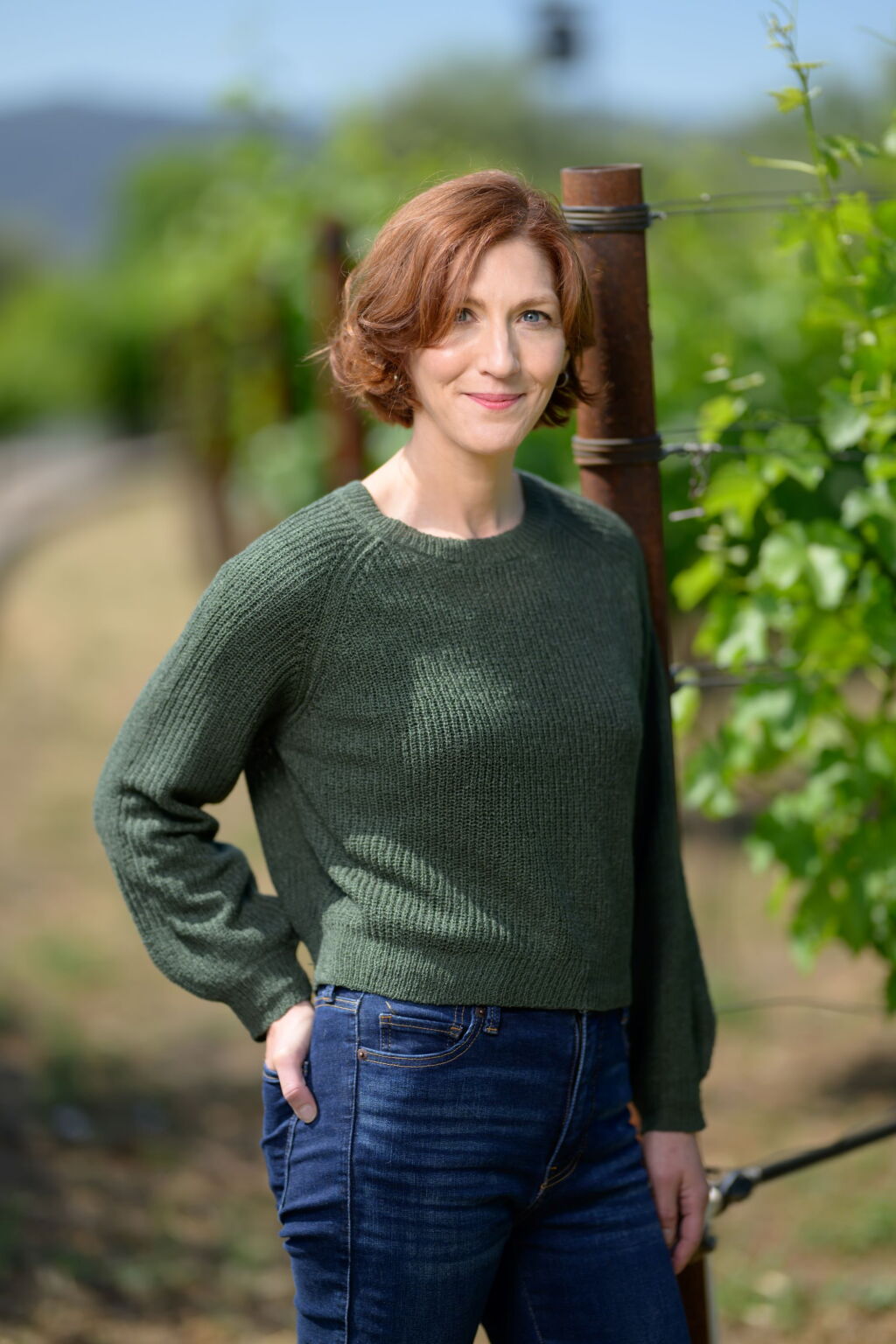 View full screen - View 1 of Lot 140. Cakebread Cellars, Vaca, Cabernet Sauvignon, Napa Valley 2024 (120 BT) .