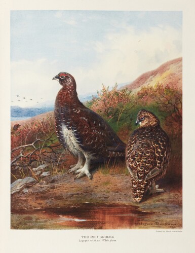 View full screen - View 1 of Lot 155. John Guille Millais | The natural history of British game birds, 1909.
