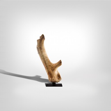 View full screen - View 1 of Lot 79. Reindeer Antler.