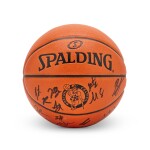 Boston Celtics 2022 - 2023 Team Multi-Signed Basketball