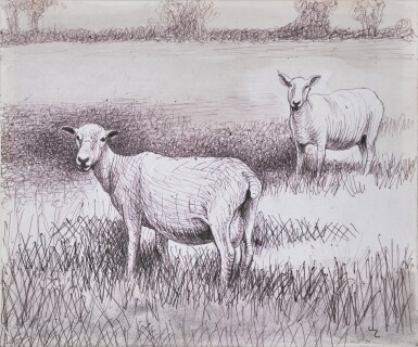 View full screen - View 1 of Lot 174. Shorn Sheep in Field (recto).
