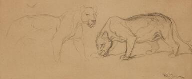 View full screen - View 1 of Lot 441. Two Lions (A Study).