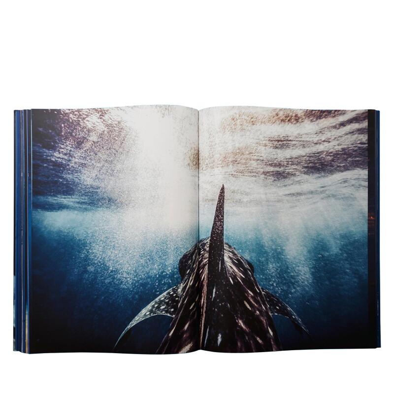 Cover image 0