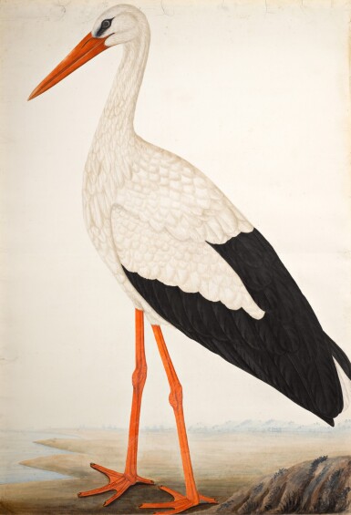 View full screen - View 1 of Lot 17. A White Stork (Ciconia Ciconia) in a Landscape, Company School, Lucknow, circa 1800.