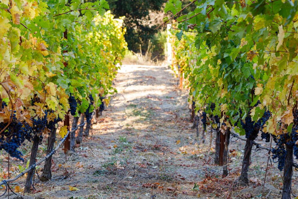 View full screen - View 1 of Lot 371. Veeder House, Cabernet Sauvignon, Mt. Veeder, Napa Valley 2016 (36 BT).