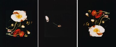 View full screen - View 1 of Lot 60. DONALD SULTAN | POPPIES.