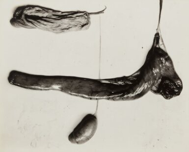 View full screen - View 1 of Lot 24. 'Negative #90'.