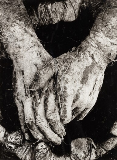Quelle: Sotheby's Bild