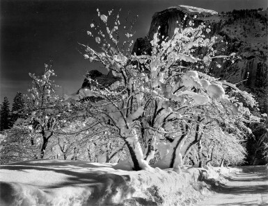 View full screen - View 1 of Lot 38. 'Winter, Yosemite Valley' (Half Dome, Apple Orchard, Winter, Yosemite).