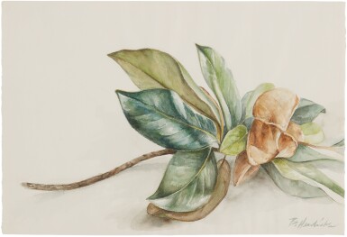 View full screen - View 1 of Lot 39. BARKLEY L. HENDRICKS | MAGNOLIA #4.