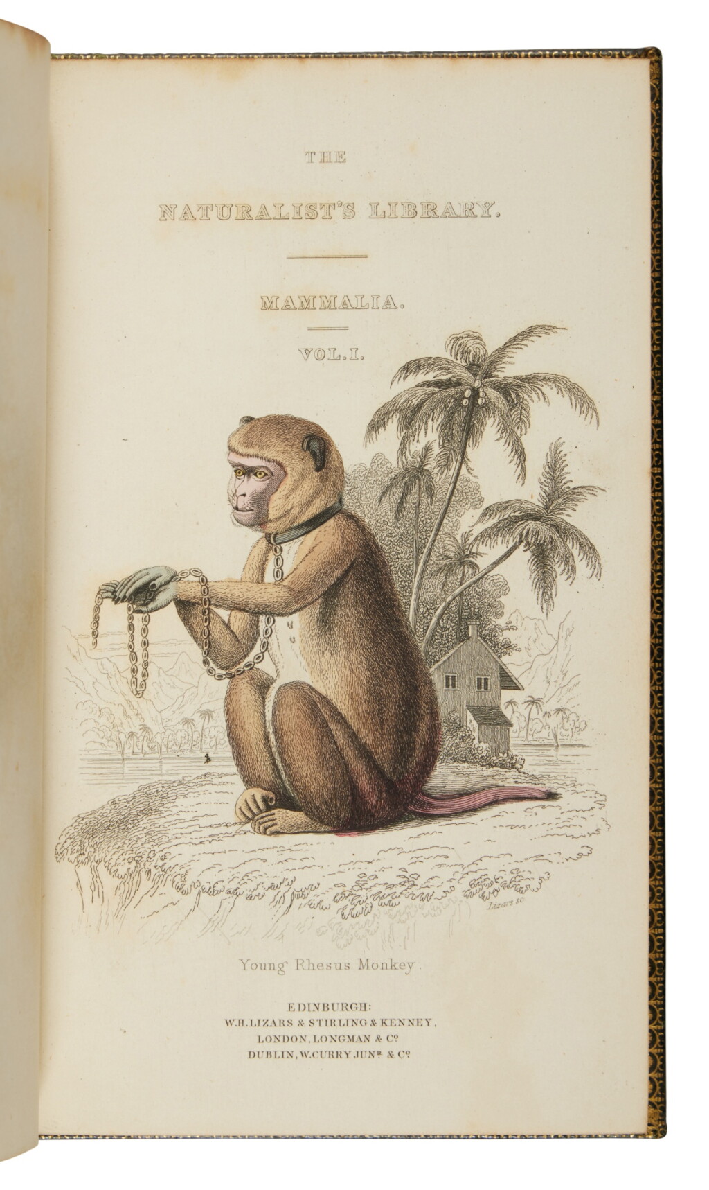 View full screen - View 1 of Lot 1012. Jardine, William | A handsome set of The Naturalist's Library.