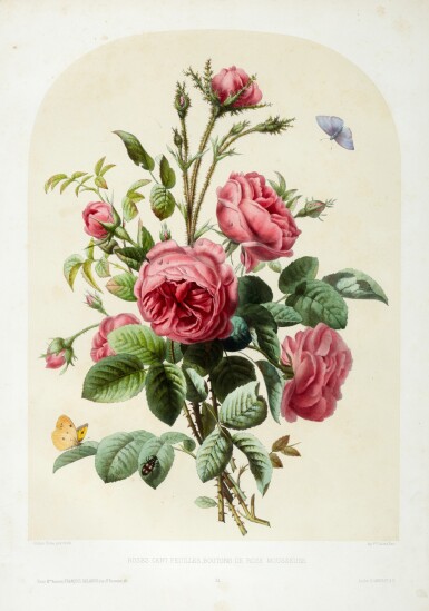 View full screen - View 1 of Lot 177. Pierre Joseph Redouté | Collection de beaux bouquets, circa 1850-1855.