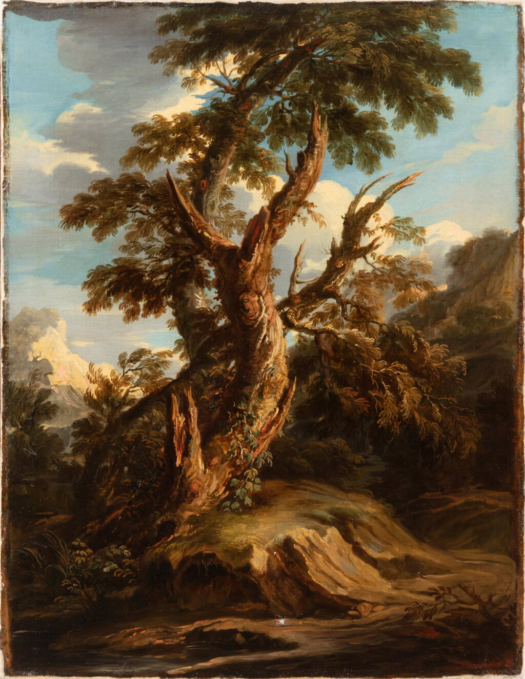 View full screen - View 1 of Lot 121. A tree on a bank in a riverbed | Arbre sur la rive.