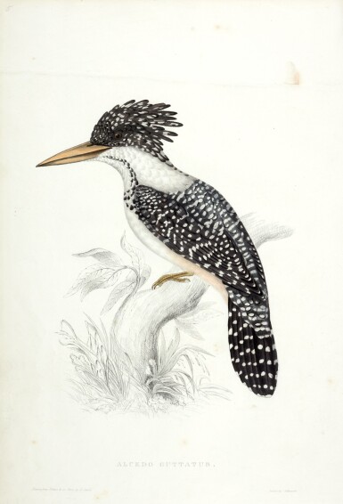 View full screen - View 1 of Lot 83. John Gould | A century of birds from the Himalayan mountains, 1831, 2 volumes.