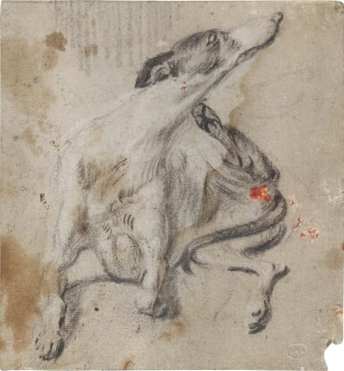 View full screen - View 1 of Lot 311. Study of a seated greyhound.