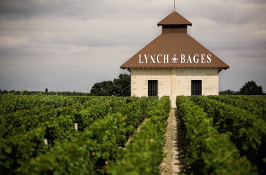 View full screen - View 1 of Lot 481. Château Lynch Bages 2014 (12 BT).