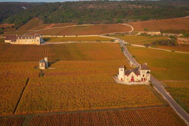 View full screen - View 1 of Lot 1558. Clos de Vougeot 2009 Château de La Tour (1 MAG).